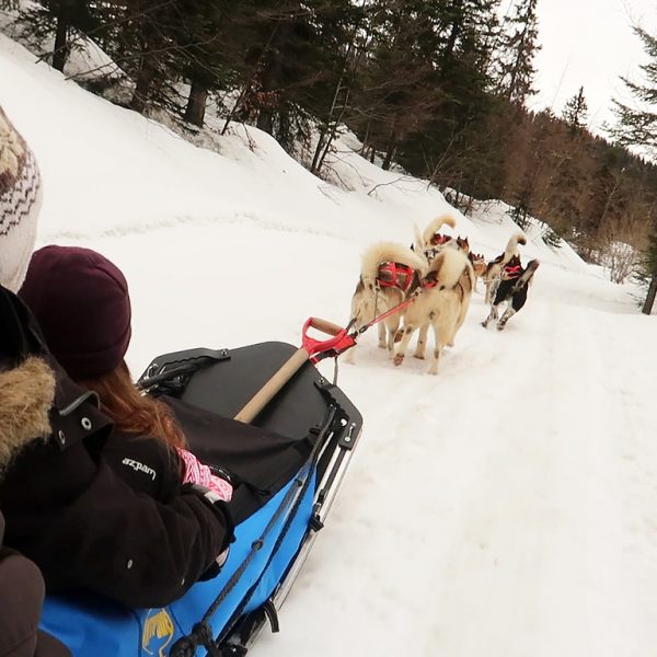 chien-traineau-la-clusaz